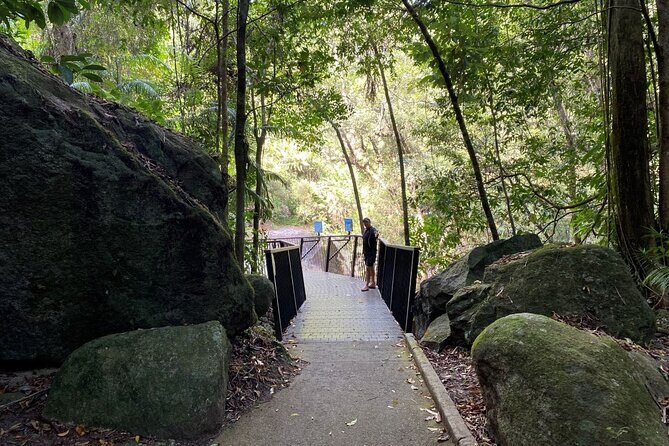 Cassowary Coast Waterfall Culture Tour - Authentic Experiences & Highlights