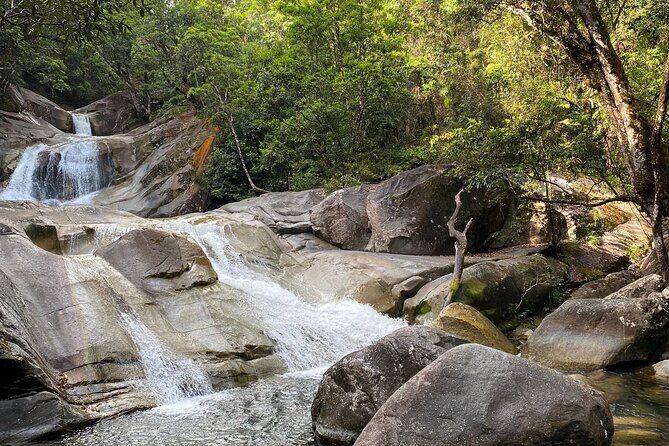 Cassowary Coast Waterfall Culture Tour - The Value for Money