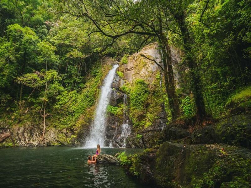 Cassowary Falls Adventure Tour - Daintree Rainforest - Key Points