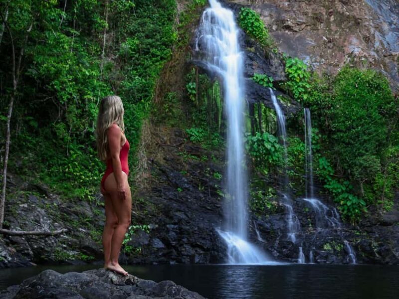 Cassowary Falls Adventure Tour - Daintree Rainforest - Journey into the Heart of Daintree