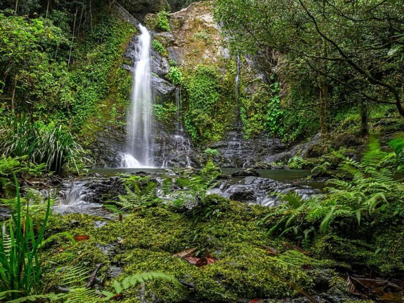 Cassowary Falls Adventure Tour - Daintree Rainforest - Evaluating the Experience: Is it worth it?