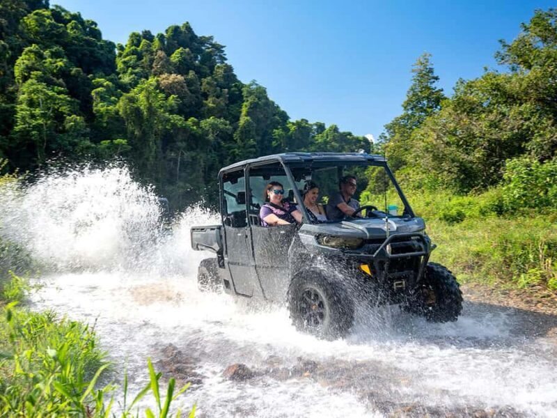 Cassowary Falls Adventure Tour - Daintree Rainforest - FAQ