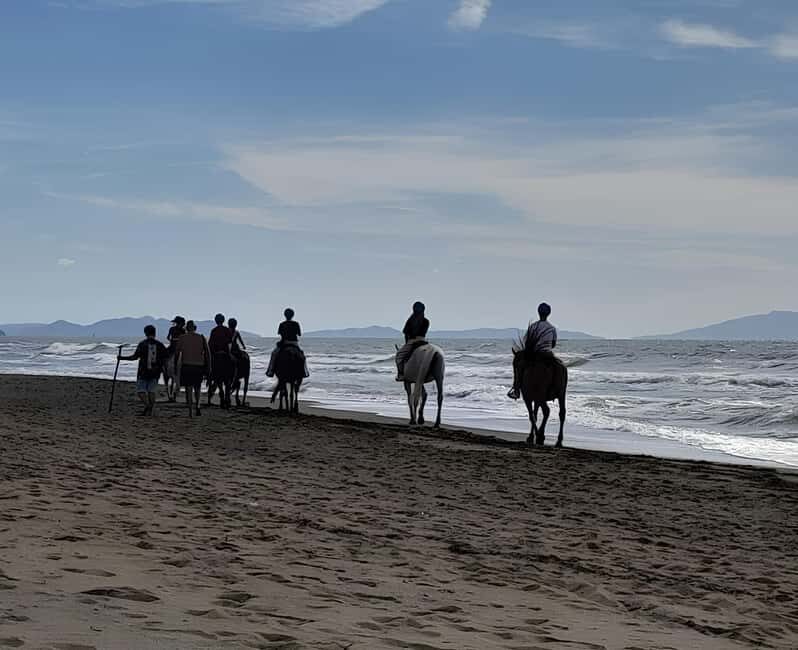 Castagneto Carducci: Horseback Riding Experience in Tuscany - What to Expect from the Horseback Riding Tour in Castagneto Carducci