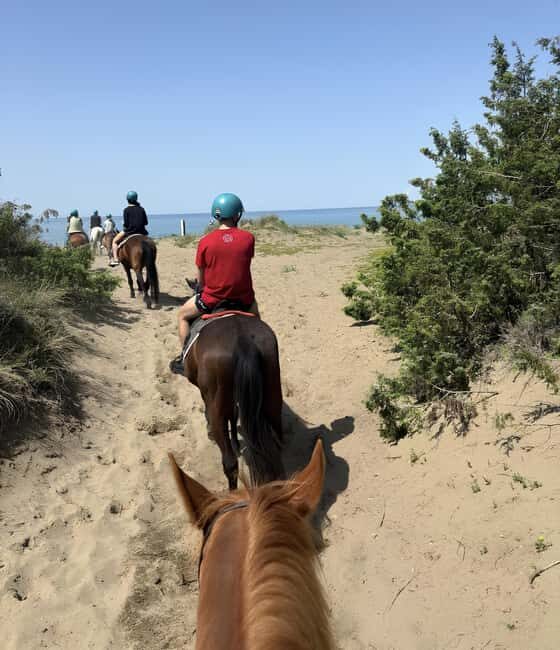 Castagneto Carducci: Horseback Riding Experience in Tuscany - Who Would Love This Tour?
