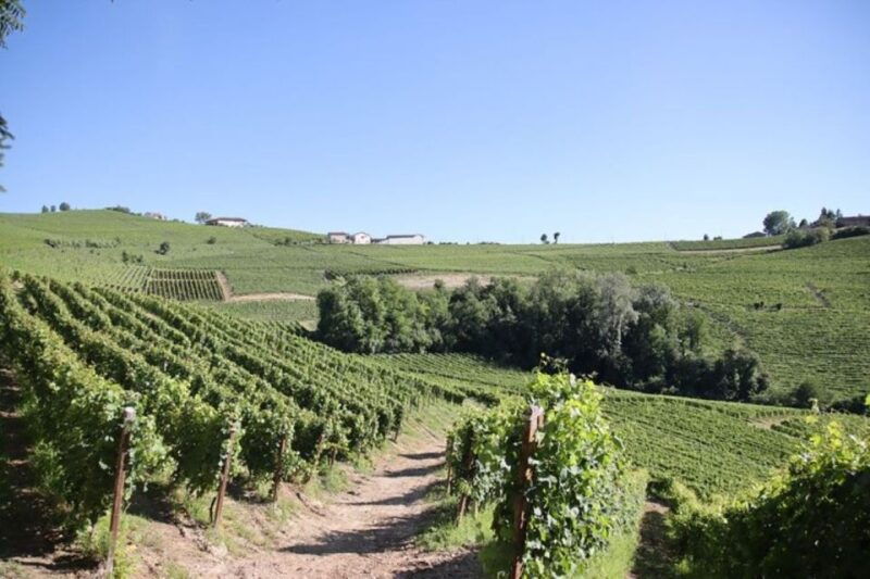 castagnole-delle-lanze-saffron-walking-tour-w-wine-food