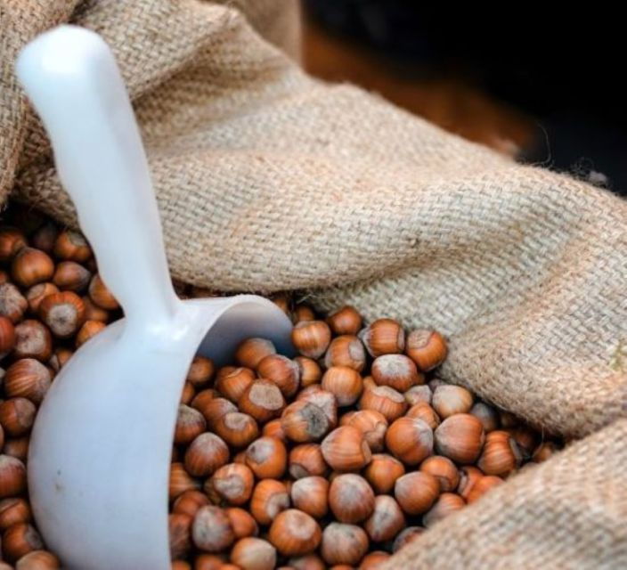 Castagnole Delle Lanze: Wine Guided Walking Tour - Participant Information