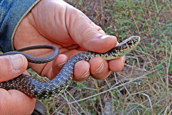 castel-del-monte-excursion-in-the-alta-murgia-national-park