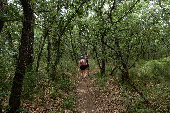 castel-del-monte-excursion-in-the-alta-murgia-national-park