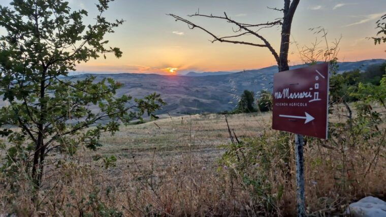 castelbottaccio-a-day-in-the-countryside-and-on-the-farm-with-nicoletta