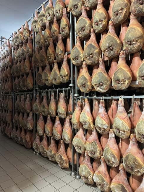 Castelfranco Emilia: Prosciutto, Parmesan and Balsamic Tour - Exploring the Emilia-Romagna Food Trail