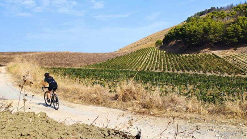 Castellammare del Golfo: E-Bike Tour to Segesta Temple - Why This Tour Works Well