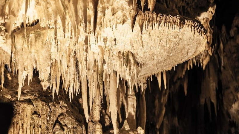 Castellana Caves Guided Tour - The Experience of Real Travelers