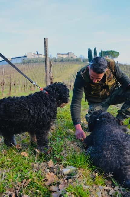 Castellina in Chianti: Truffle Search, Wine Tasting & Lunch - Key Points