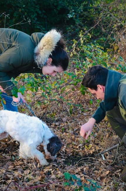 Castellina in Chianti: Truffle Search, Wine Tasting & Lunch - The Experience: What You Can Expect