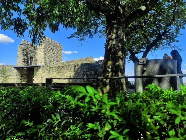 castelo-branco-culture-and-history-guided-tour-with-museums
