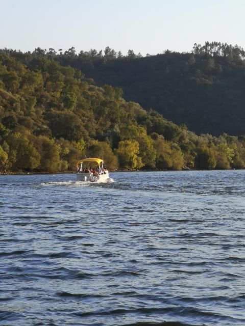 castelo-branco-portas-de-rodao-natural-monument-boat-trip