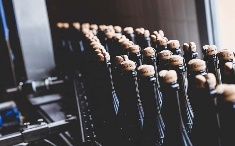 Castelvetro: winery tour and Lambrusco tasting - Key Points