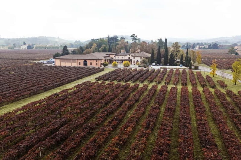 Castelvetro: winery tour and Lambrusco tasting - The Tour Breakdown: What to Expect from Start to Finish
