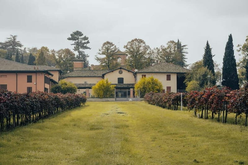 Castelvetro: winery tour and Lambrusco tasting - Who Would Benefit Most?