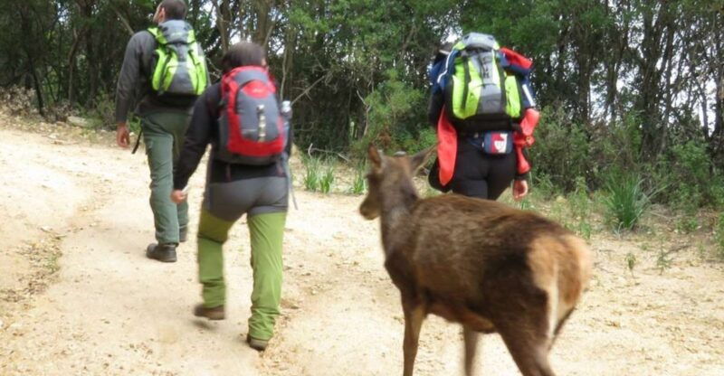castiadas-trekking-in-the-sacqua-callenti-forest