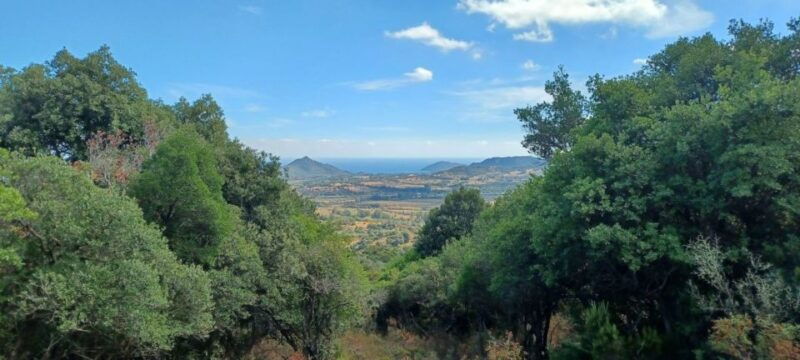 castiadas-trekking-in-the-sacqua-callenti-forest