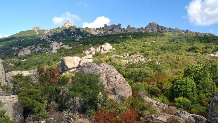 castiadas-trekking-in-the-sacqua-callenti-forest
