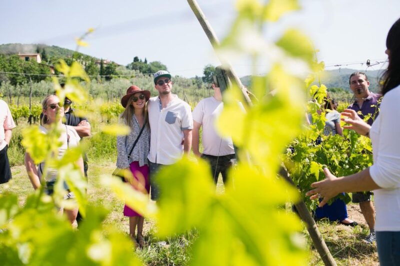 castiglion-fiorentino-buccelletti-wine-tour-tasting