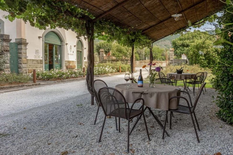 Castiglion Fiorentino: Wine Tasting and Charcuterie Board - The Experience Breakdown