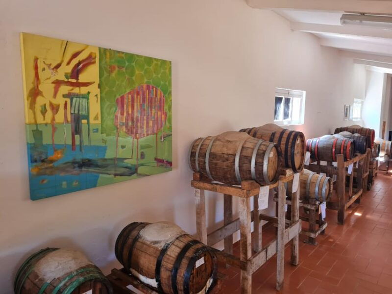 castiglion-fiorentino-wine-tasting-with-guided-tour
