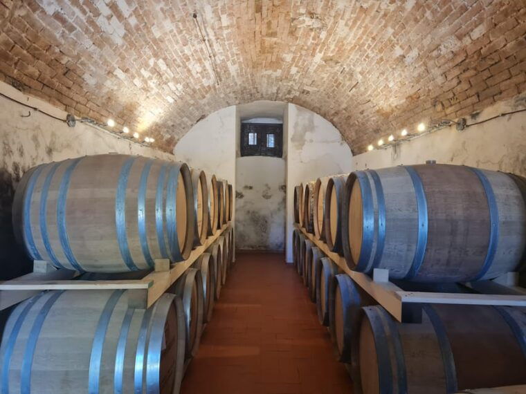 castiglion-fiorentino-wine-tasting-with-guided-tour