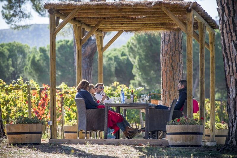 castille-and-leon-vineyard-tour-with-wine-tasting