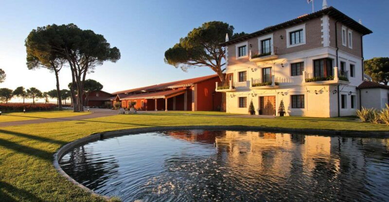 castille-and-leon-vineyard-tour-with-wine-tasting