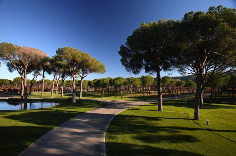 castille-and-leon-vineyard-tour-with-wine-tasting