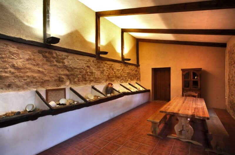 castille-and-leon-vineyard-tour-with-wine-tasting