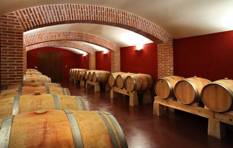 castille-and-leon-vineyard-tour-with-wine-tasting