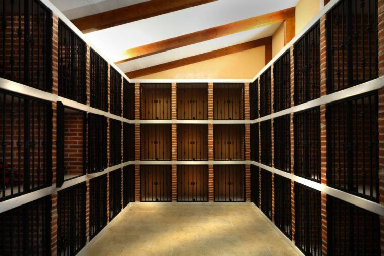 castille-and-leon-vineyard-tour-with-wine-tasting