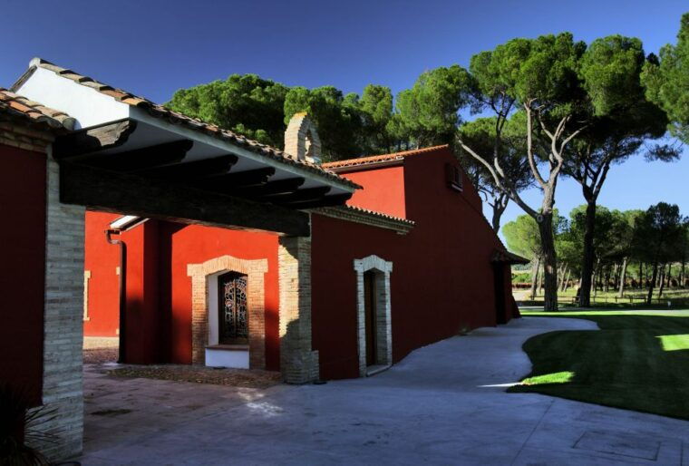 castille-and-leon-vineyard-tour-with-wine-tasting
