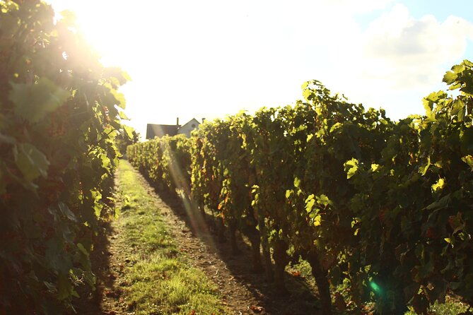 castle-epicurean-experience-with-wine-local-specialties