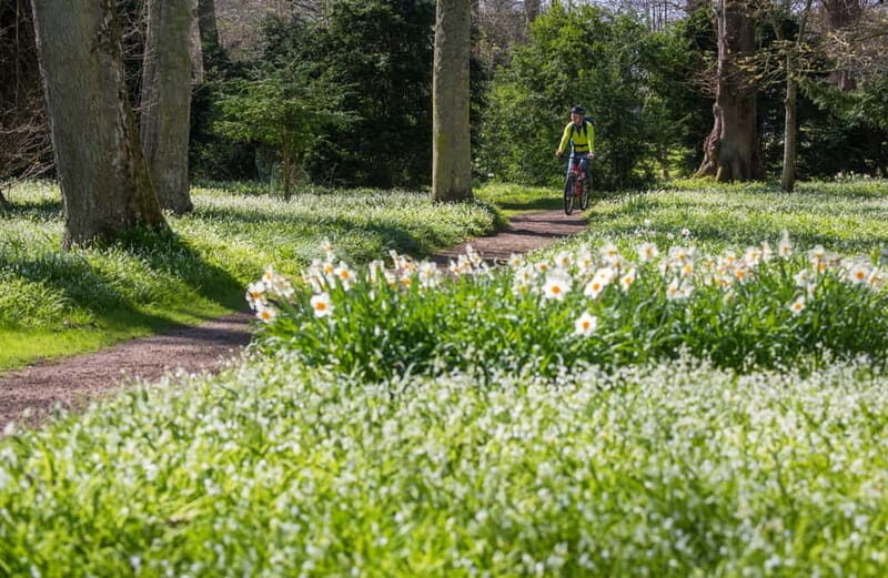 Castle, Gardens & Grounds Ticket - Practical Tips for Visiting
