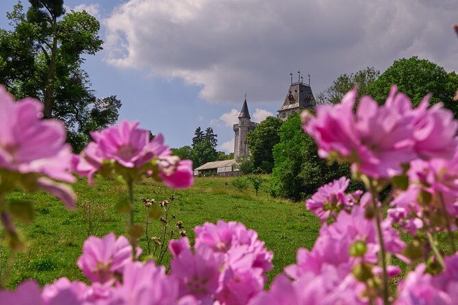 castle-guided-tour-english