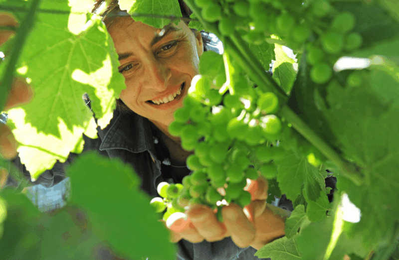 castle-winery-tour-tasting-near-lake-maggiore