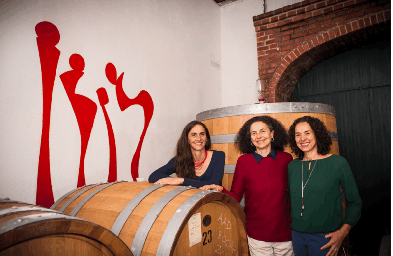 castle-winery-tour-tasting-near-lake-maggiore