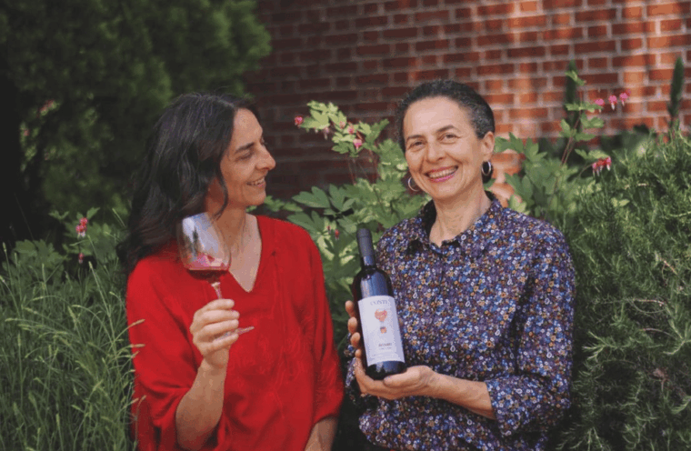 castle-winery-tour-tasting-near-lake-maggiore