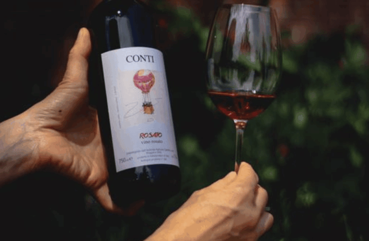 castle-winery-tour-tasting-near-lake-maggiore