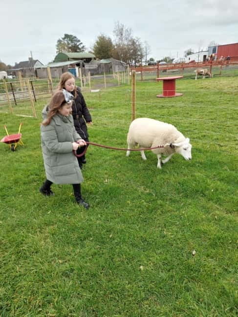 Castlegadddery: Murtagh's Organic Farm Guided Tour - An In-Depth Look at Murtagh’s Organic Farm Guided Tour