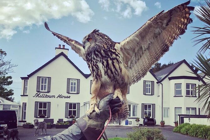 castles-classics-tour-7-day-essential-ireland-ashford-castle-2