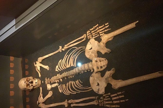 castles-crusaders-communists-courts