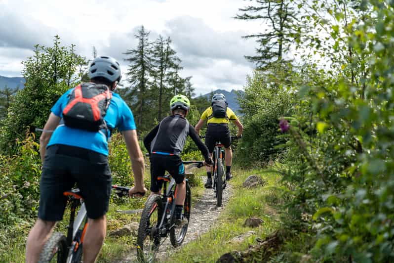 castlewellanelectric-mountain-biking-experience