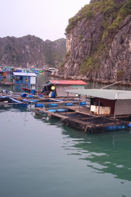 cat-ba-2-day-lan-ha-bay-cruise-with-plankton-excursion