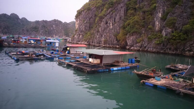 cat-ba-2-day-lan-ha-bay-cruise-with-plankton-excursion